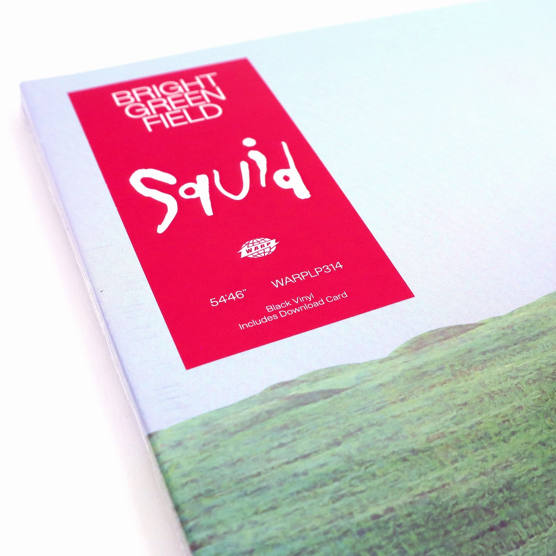 Squid: Bright Green Field Vinyl 2LP