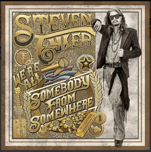 Steven Tyler C We're All Somebody From Somewhere (Arrives in 4 days ) hi-fi aptX HD bluetooth,hi-fi WiFi speakers,hi-fi stereo output