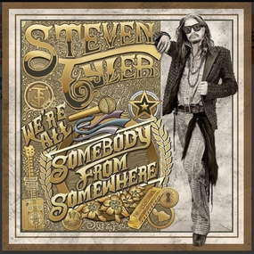 Steven Tyler C We're All Somebody From Somewhere (Arrives in 4 days ) hi-fi aptX HD bluetooth,hi-fi WiFi speakers,hi-fi stereo output