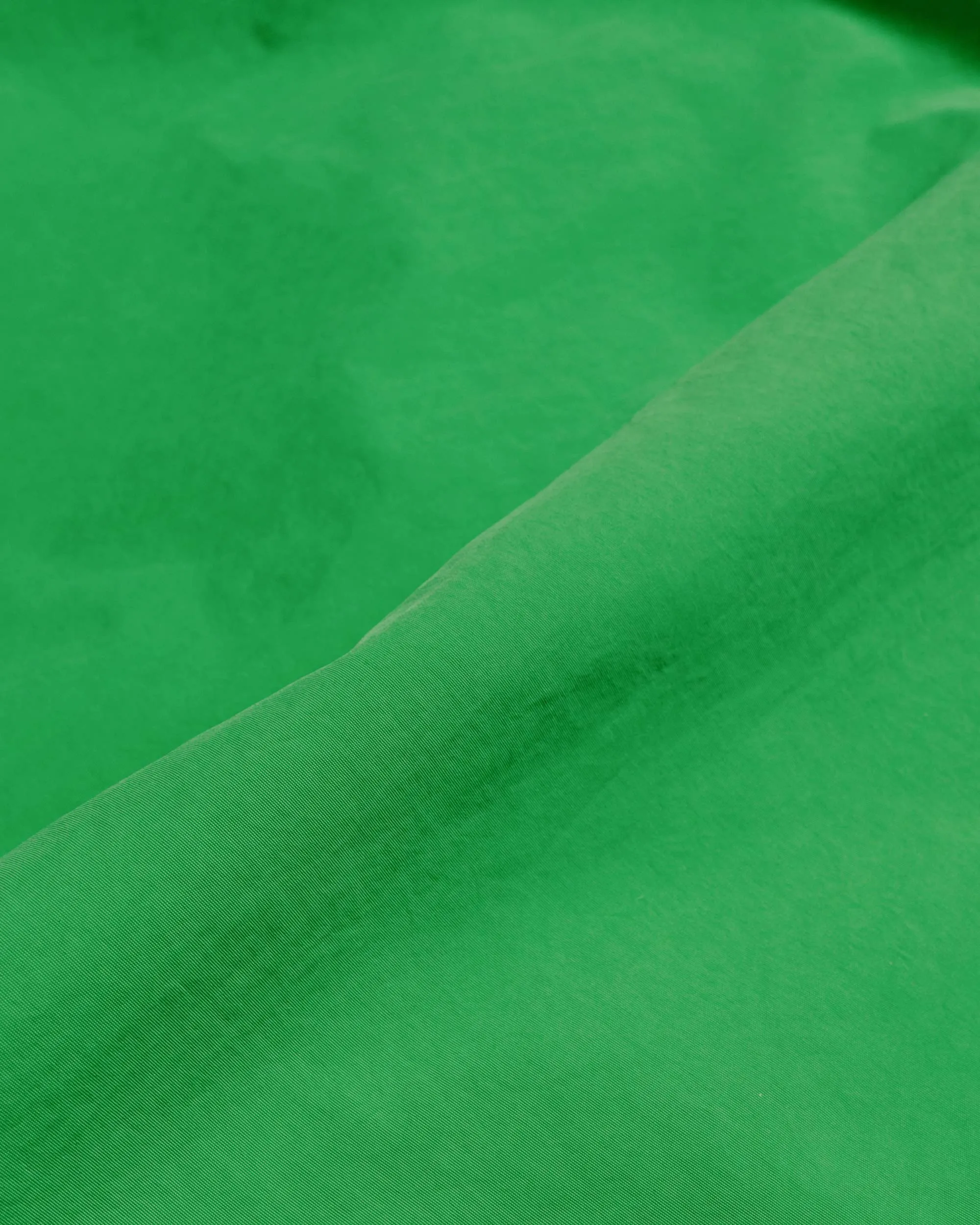 Avant-Garde Stssy Stock Water Short Classic Green