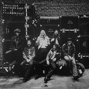 The Allman Brothers Band  The Allman Brothers Band At Fillmore East  (Arrives in 7 Days) hi-fi linear power supply,hi-fi digital coaxial input,hi-fi speaker selector