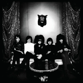 The Horrors C Strange House  (Arrives in 4 days ) hi-fi subwoofer cable,hi-fi driver unit,hi-fi frequency response