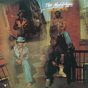 The Modulations  It's Rough Out Here (Music On Vinyl) (Arrives in 21 Days) hi-fi linear power supply,hi-fi digital coaxial input,hi-fi speaker selector