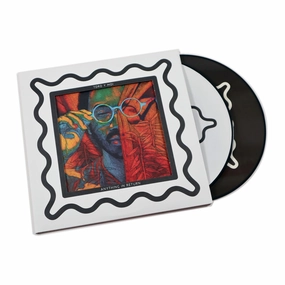 Toro Y Moi: Anything In Return (Pic Disc) Vinyl 2LP hi-fi soundproof solution,hi-fi wall mount speakers,hi-fi ceiling speakers