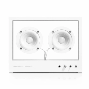 Transparent: Transparent Speaker - Small / White (STS-W) hi-fi digital music server,hi-fi speaker wall mount,hi-fi amp upgrade