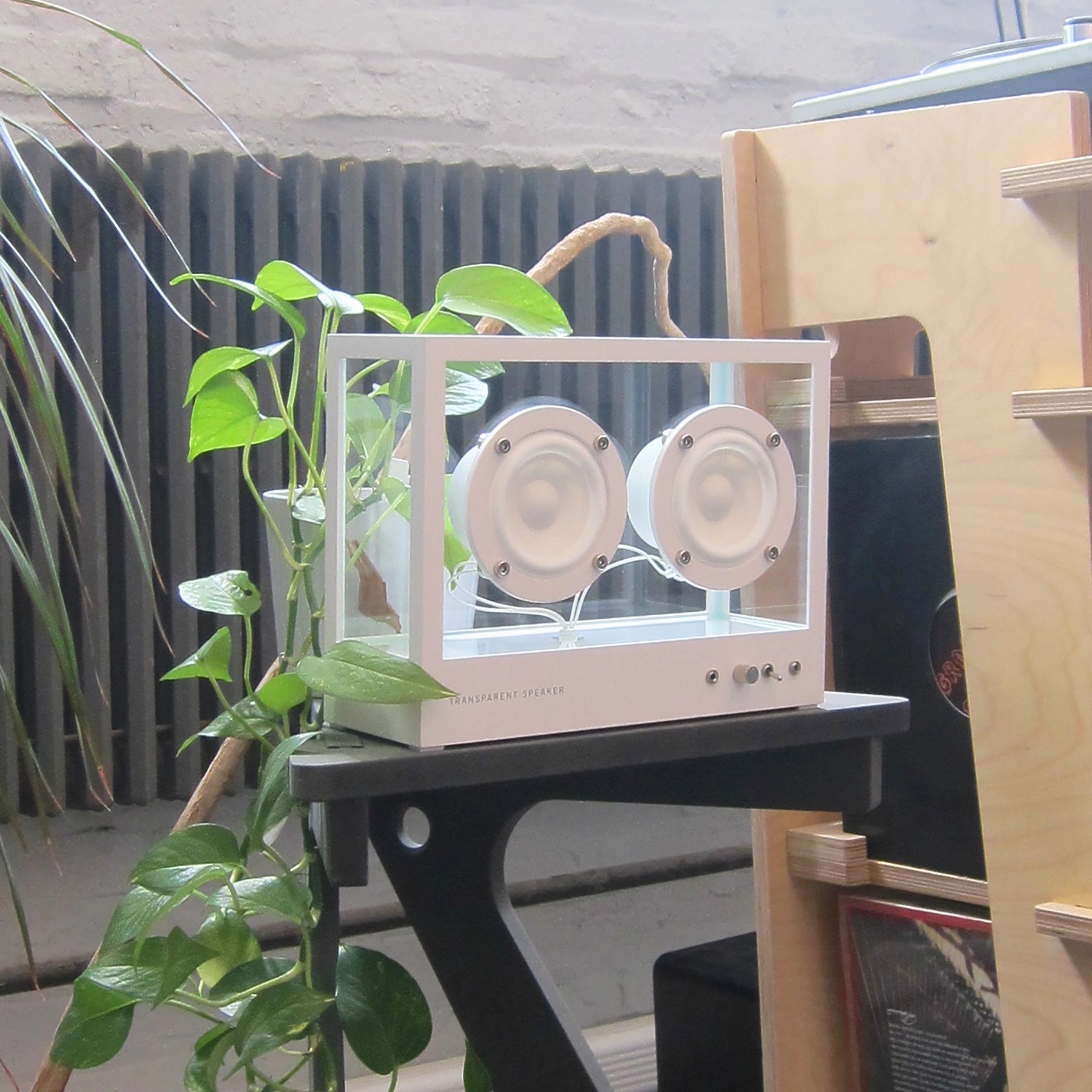 Transparent: Transparent Speaker - Small / White (STS-W)