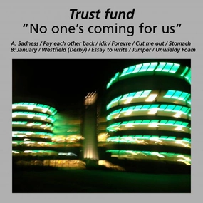 Trust Fund - No-one#s Coming For Us (Arrives in 4 days ) hi-fi audio equalizer,hi-fi crossover network,hi-fi digital volume control