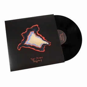 Tyler Childers: Purgatory (180g) Vinyl LP hi-fi soundproof solution,hi-fi wall mount speakers,hi-fi ceiling speakers