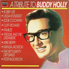 VARIOUS ARTISTS-THE BUDDY HOLLY STORY (Arrives in 4 days) hi-fi speaker damping kit,hi-fi panel absorber,hi-fi bass trap