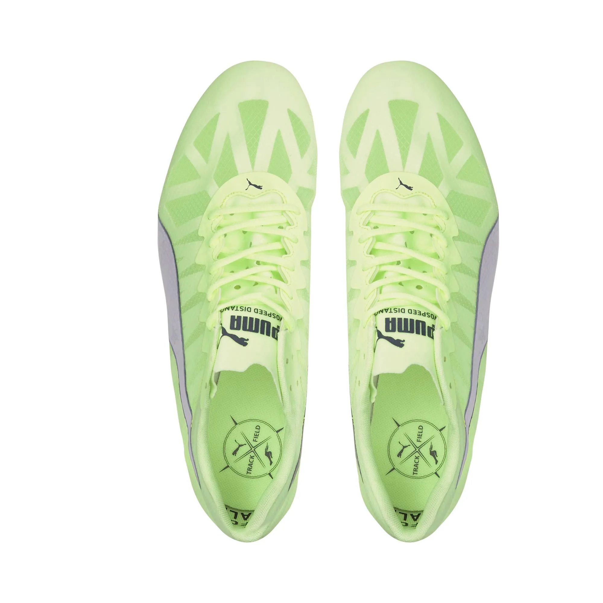 Performance Unleashed Puma Evospeed Distance 9 Spike