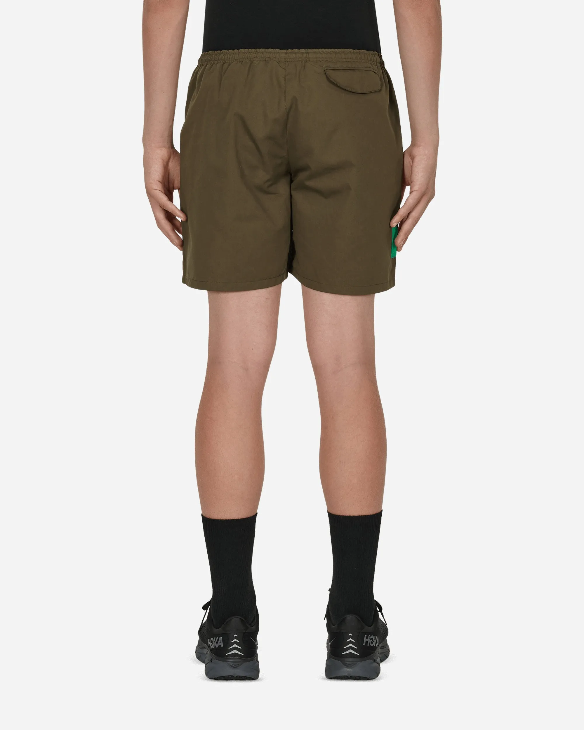 Good Grade Water Shorts Green