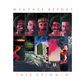 Weather Report  Tale Spinnin' (Music On Vinyl) (Arrives in 21 Days) hi-fi linear power supply,hi-fi digital coaxial input,hi-fi speaker selector