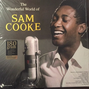 Wonderful World - The Hits By Sam Cooke (Arrives in 4 days ) hi-fi analog input amp,hi-fi Bluetooth 5.0 amp,hi-fi tube amp with bluetooth