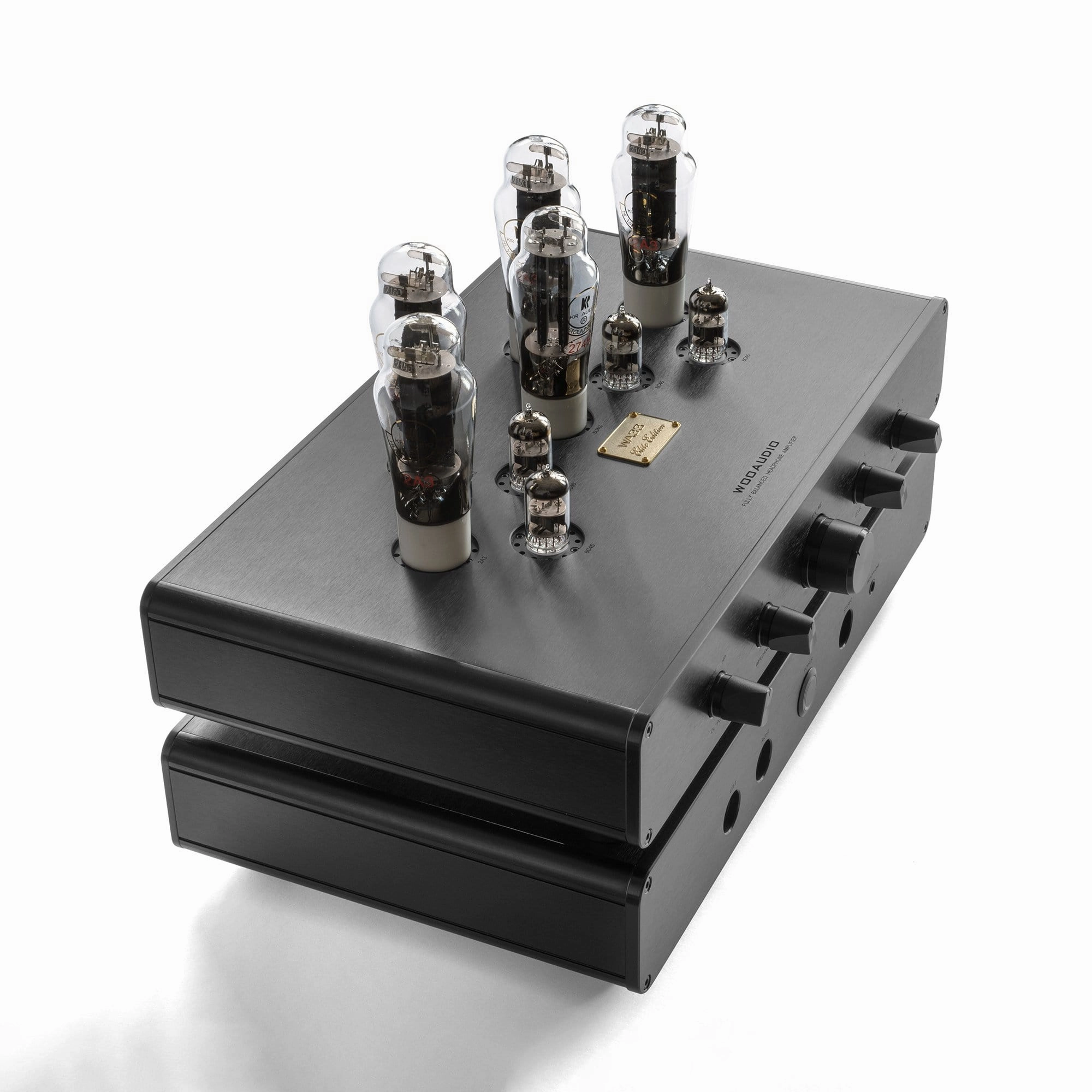 Woo Audio WA33 Fully Balanced Tube Amplifier